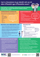 What makes the workplace work? front page preview
                  